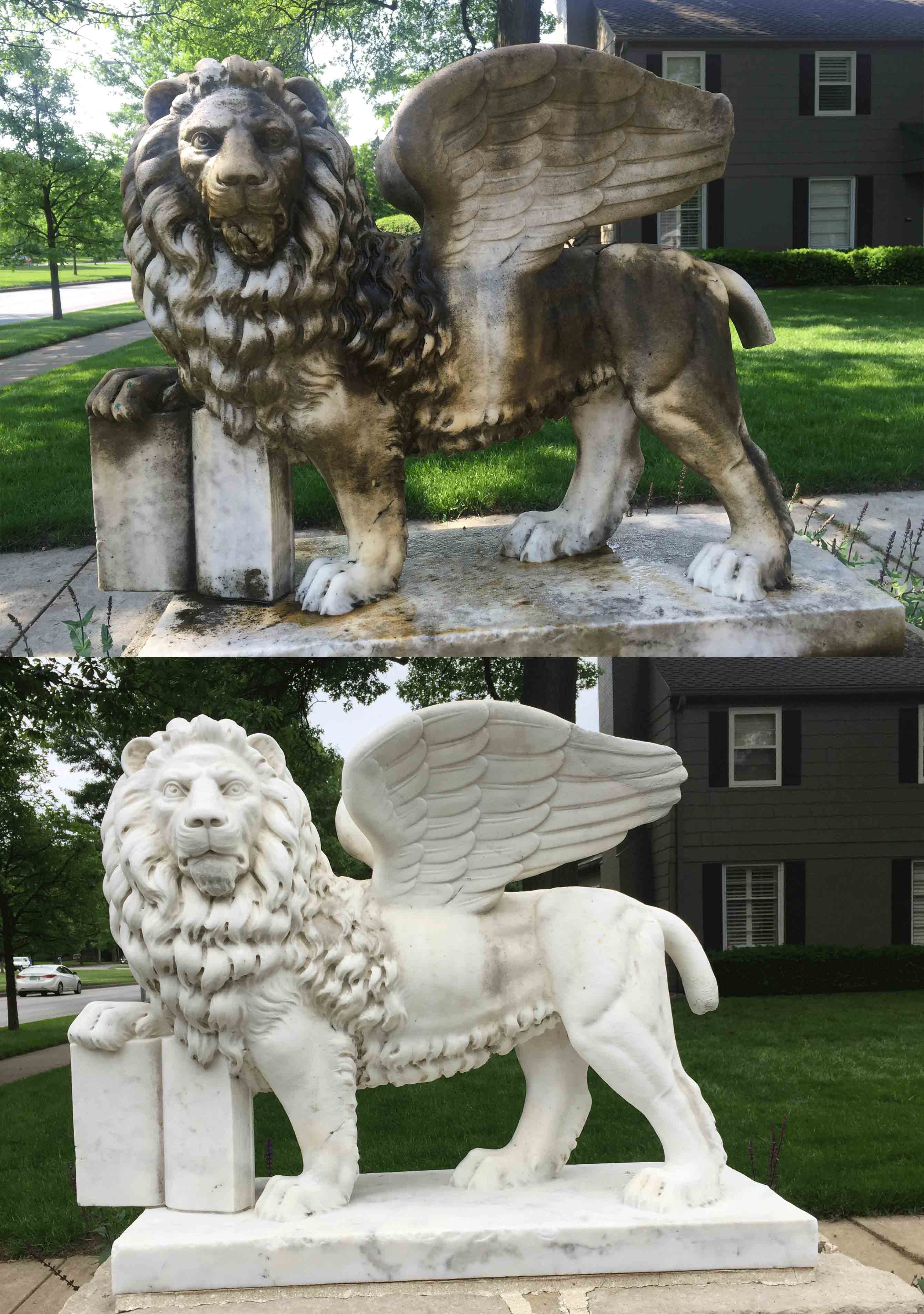 Marble Winged Lion in KCMO